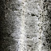 Каменный шпон Translucent Argento (Аргенто) 122х61см (0,74 м.кв) Слюда